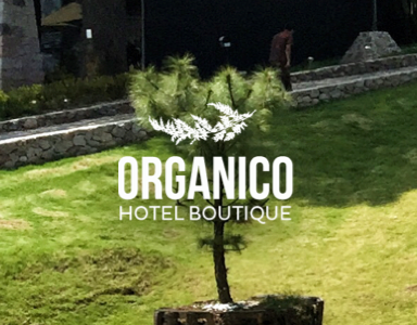 Orgánico Hotel Boutique